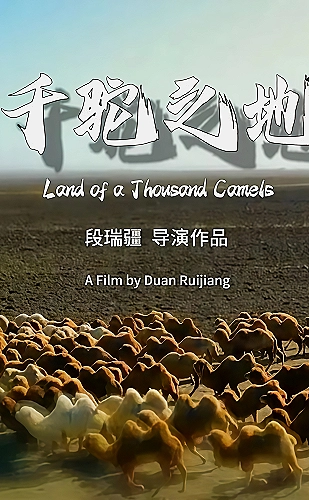 长街灯火
